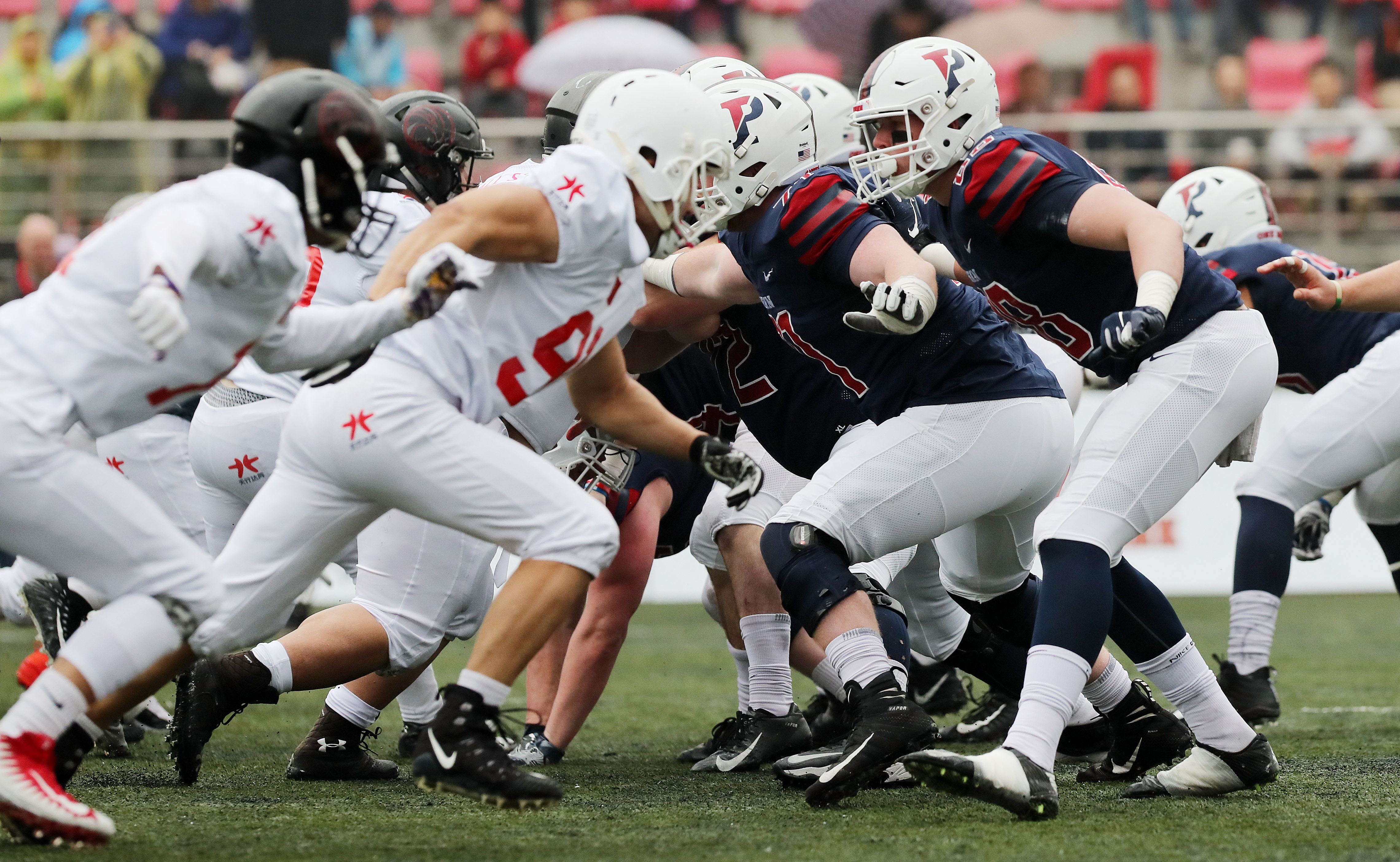 包含世界赛舞台，橄榄球代表国家出征荣耀的词条