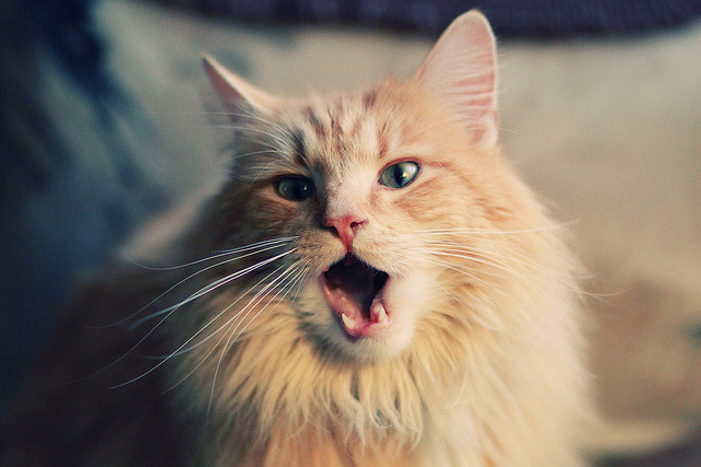 开云体育登录-孤独与宿命,利拉德如何让巨人倒下