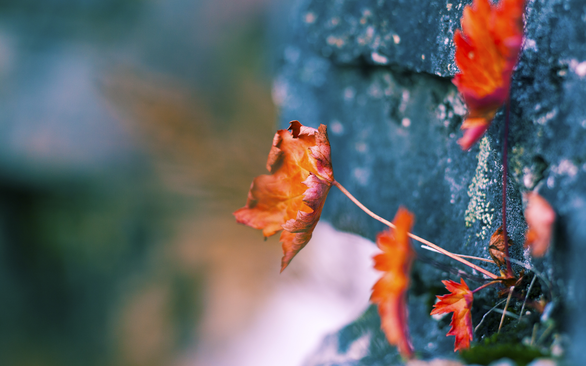 双线奇迹,乌克兰掀翻西班牙巨人,金玟哉刷新亚洲球员身价纪录