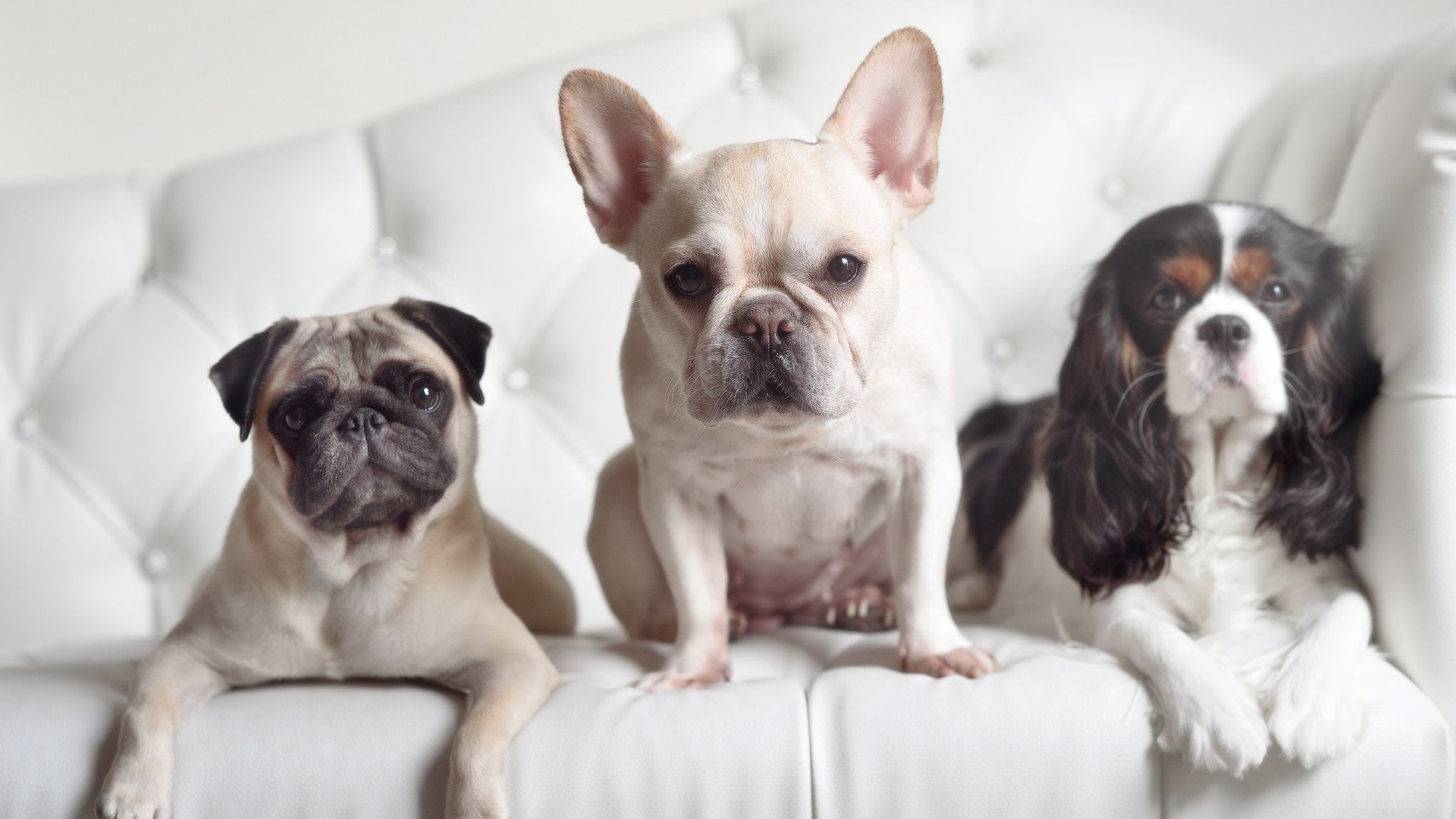 开云体育-旧世界反击,巴拉圭冲垮加拿大,拉亚在德甲争冠战接管比赛