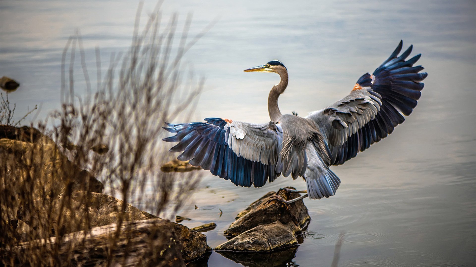冰火双生，当个人英雄主义遇见维京铁血团魂
