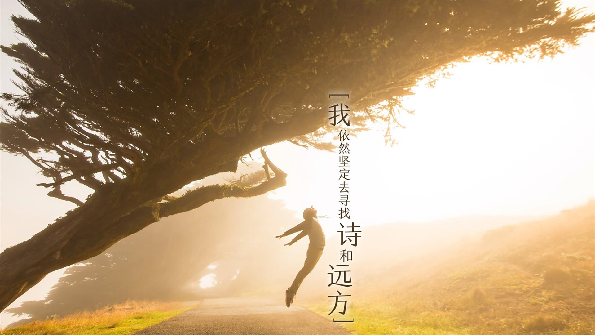 第三颗太阳升起时,当新西兰的雪原上奔走着罗德里戈的幽灵