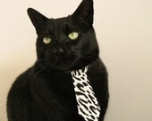 绿军神话再续,关键先生拉梅洛率领凯尔特人击败老鹰