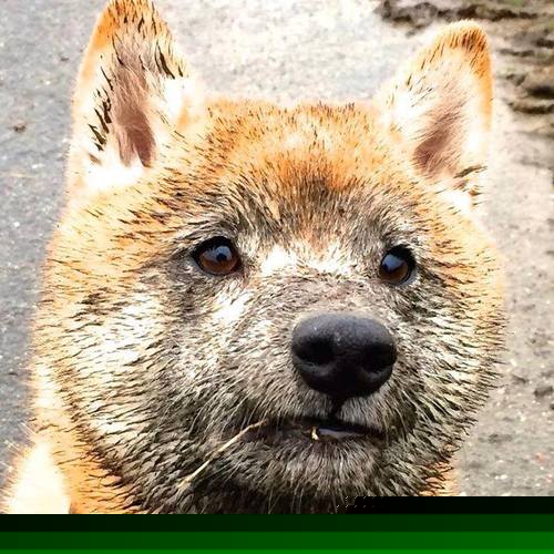 开云体育官网-德布劳内穿越记,当足球大脑接管NBA季后赛