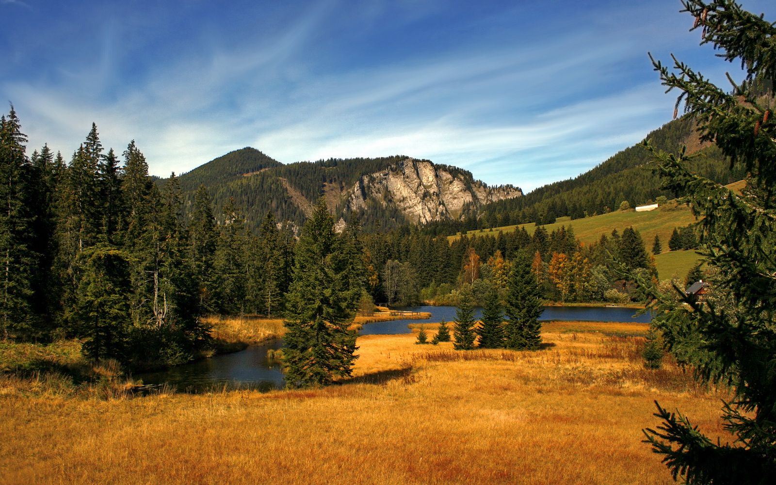 速度与韧性的双重奏，F1揭幕战与克罗地亚的生死较量