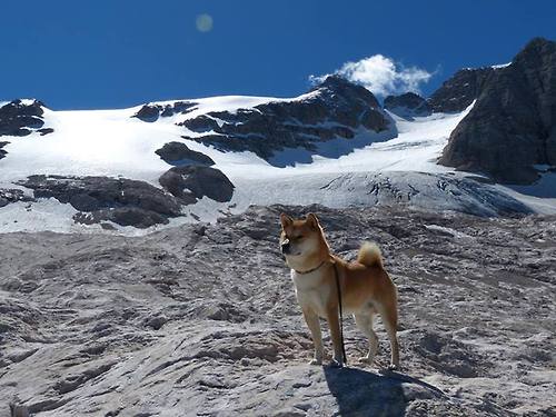开云体育APP下载-孤胆破天堑，小贾伦关键时刻的爆发助森林狼血拼深圳队