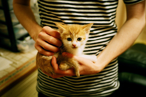 现代角斗场,班凯罗的西决生死夜,一球定江山