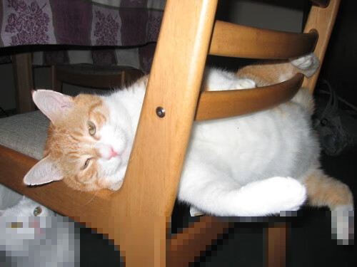 开云体育app-破壁，当马赛在委内瑞拉晋级，加维在德甲战场扬威