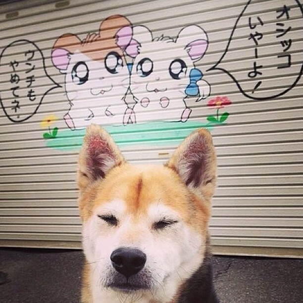 冰封高原，爵士窒息防守下的唯一关键先生