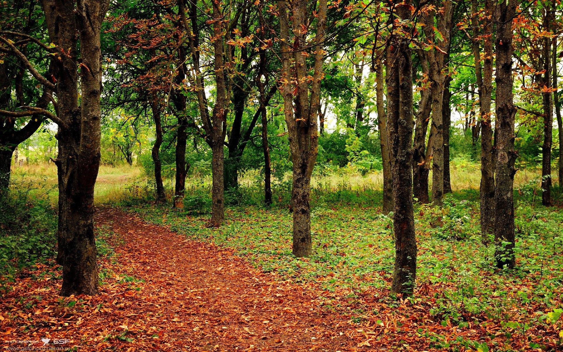 冰与火的弧线，从东莞寒夜到马尼拉黎明—哈登的2026救赎之路
