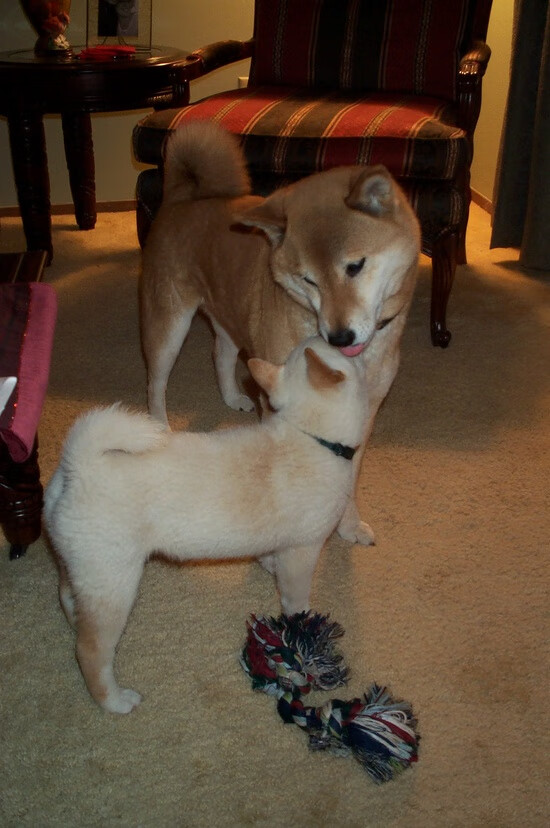 开云sport-卡拉斯科单骑破局,威尔士叹息之墙锁死瑞典锋芒